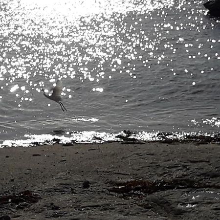 Appartement Proche De La Mer Guilvinec Exteriér fotografie